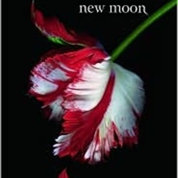 new moon